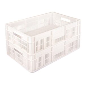 67bc6487bf6b8_Caixa-Plastica---Mercoplasa-MS16FF---Ideal-para-Armazenamento