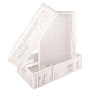 67bc6487d5d45_Caixa-Plastica---Mercoplasa-MS16FF---Ideal-para-Armazenamento