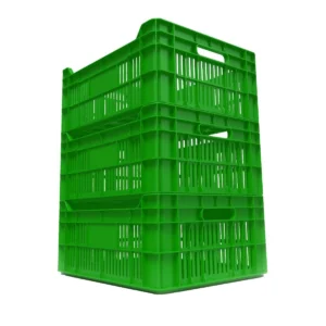 mercoplasa-ms21-2