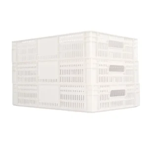 mercoplasa-ms23-2