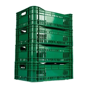 mercoplasa-ms38-2