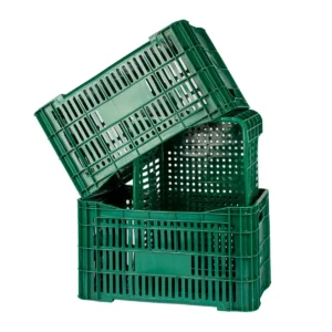 mercoplasa-ms60p-2